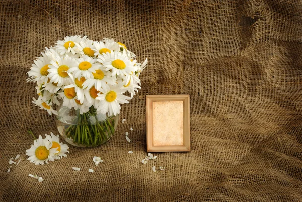 Bouquet di margherite villaggio e la cornice per la tua foto — Foto Stock