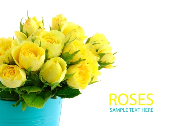 Vacker bukett med gula rosor i en blå hink — Stockfoto