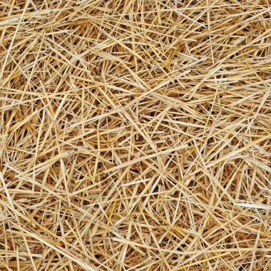 Straw texture background clipart