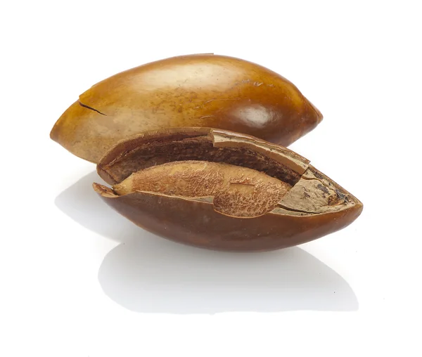 Samen von Sapote auf Weiß, eine Nahaufnahme — Stockfoto