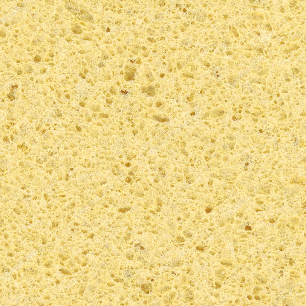 Sponge Texture Stock Photo By C Flas100