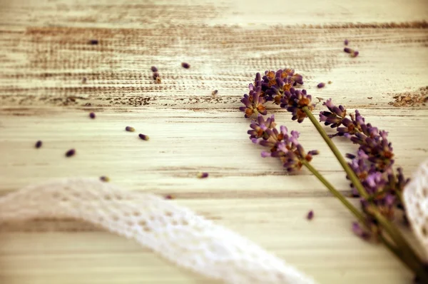 Lavender bouquet — Stock Photo, Image