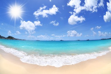 Tropical Caribbean Island Beach on a Beautiful, Sunny Day - Fisheye clipart