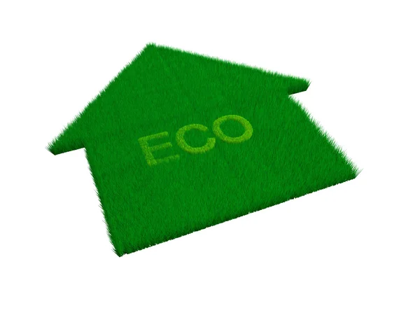 Eco casa erba — Foto Stock