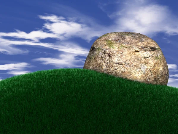 stock image Big rock on grass