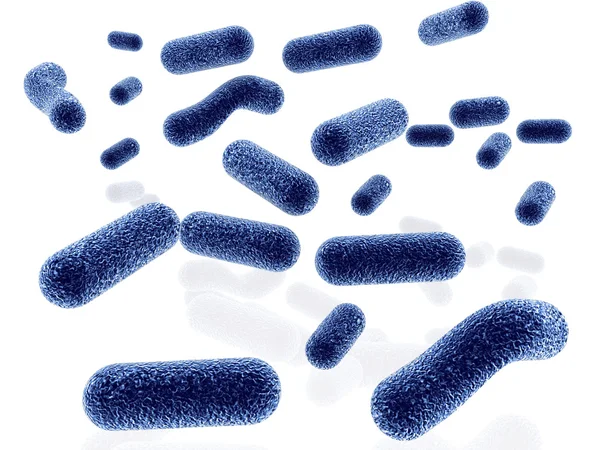 Bakterií izolovaných na černém pozadí — Stock fotografie