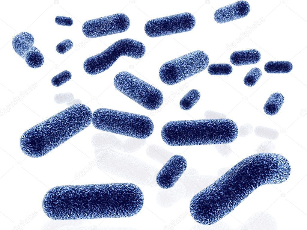 Bacteria isolated on black