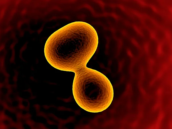Bactérias virais — Fotografia de Stock