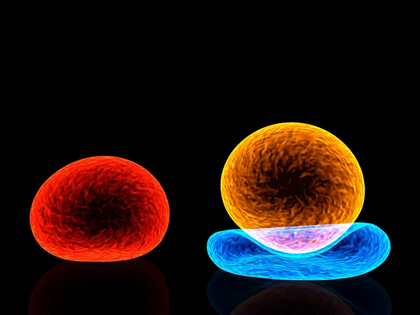 Hücre renkleri — Stok fotoğraf
