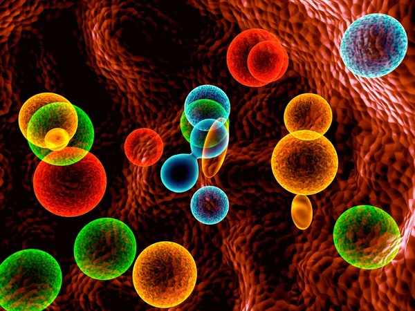 Κύτταρα χρώματα — Φωτογραφία Αρχείου
