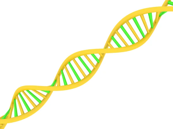 ADN спіраль — стокове фото