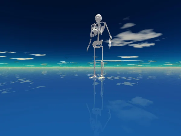 Human skeleton on water — Stock Photo, Image