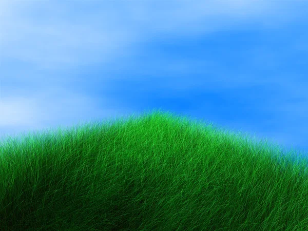 Herbe verte et fond bleu ciel — Photo