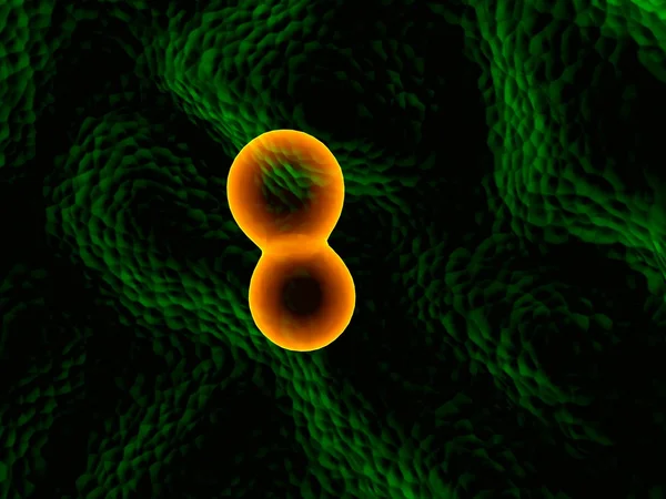Pomarańczowy mikro komórek — Zdjęcie stockowe