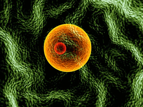 Мікро клітини — стокове фото