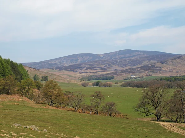 Glenesk údolí Skotsko — Stock fotografie
