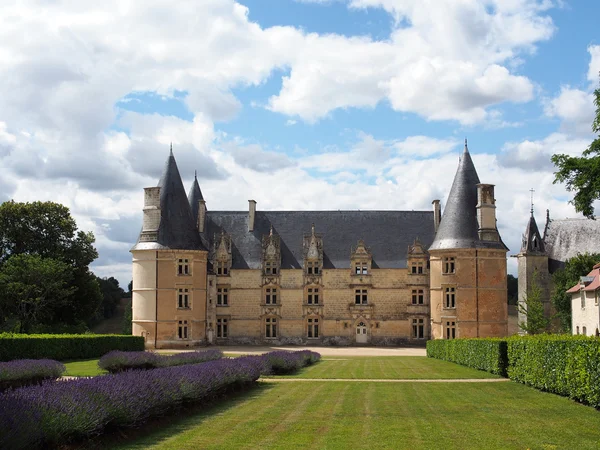 La Roche castello in estate, Vienne, Francia . — Foto Stock