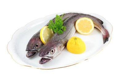 Two Hake clipart