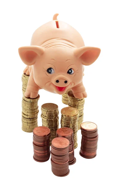 Porky on columns of coins — Stock Photo, Image