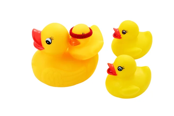 Family of torrent ducks — Stock Photo, Image