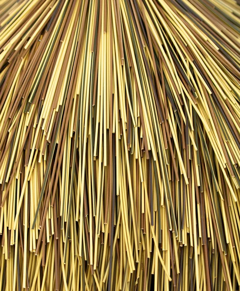 Multi color bamboo cane — Stock Photo, Image