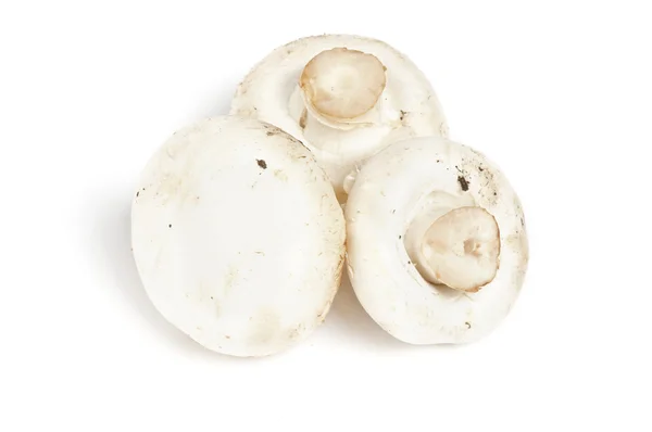 Три больших идеальных белых гриба шампиньона — стоковое фото