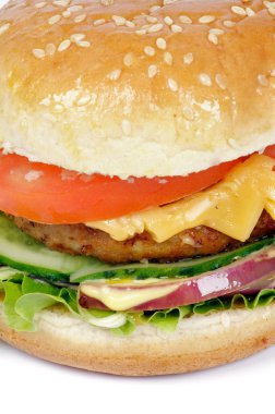 lezzetli hamburger portre