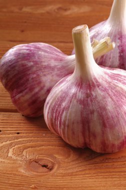 New Harvest Garlic Close up clipart