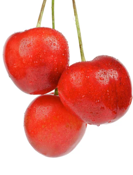 Три сладких вишни — стоковое фото