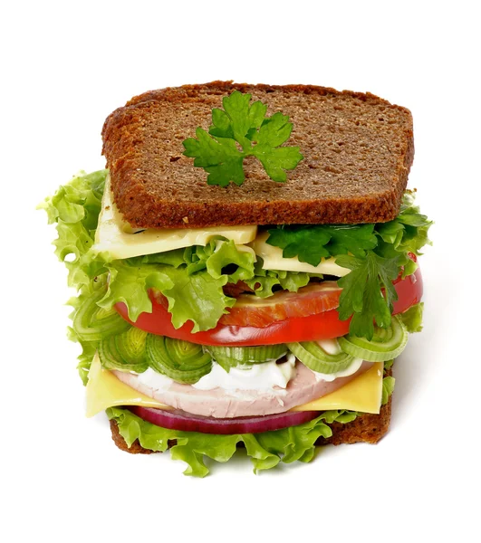 Büyük lezzetli sandviç — Stok fotoğraf