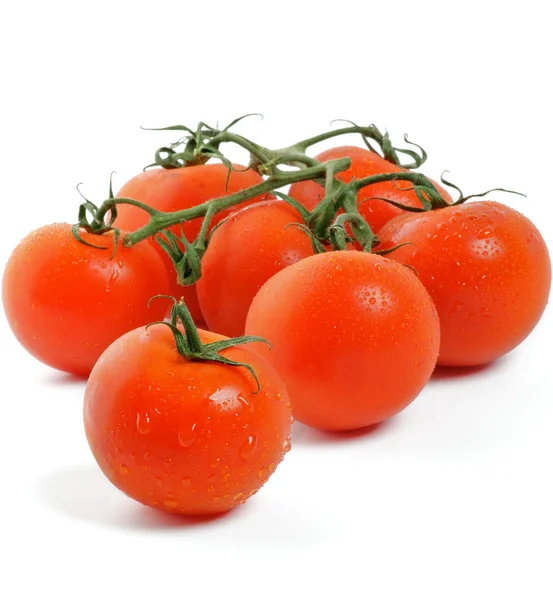 Tomates sur brindilles — Photo