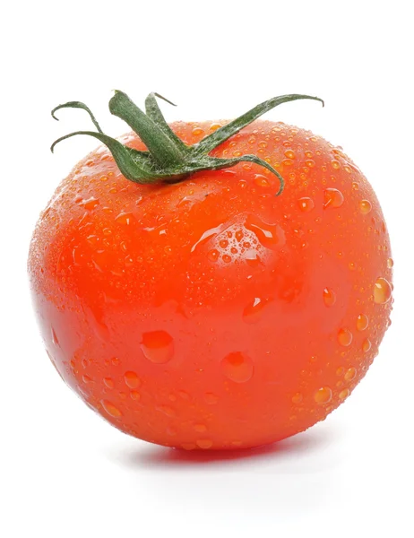 Tomate direkt aus dem Garten — Stockfoto