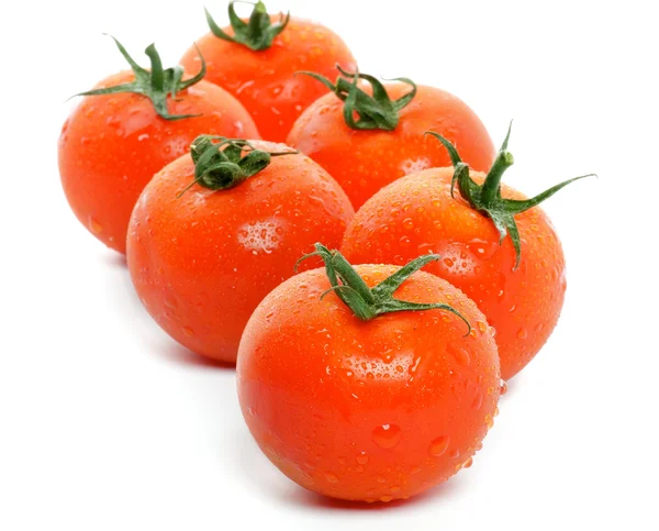 新鮮なトマトの配置 — ストック写真