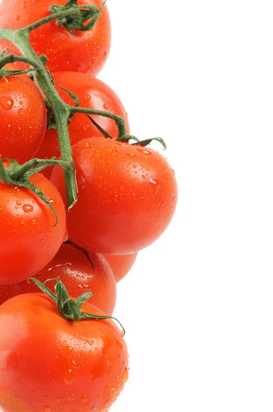 Frame van tomaten op twijgen — Stockfoto
