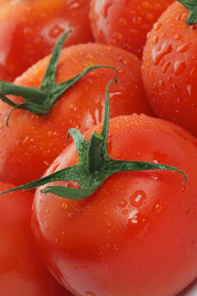 Tomaten im Hintergrund — Stockfoto