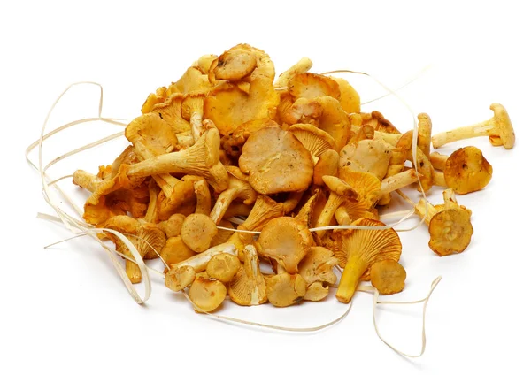 Heap of Fresh Raw Chanterelle Mushrooms — Stok fotoğraf