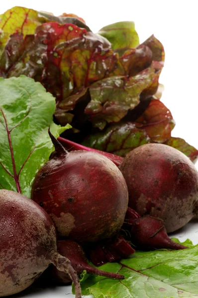 Bunch of Perfect Raw Beets and haulm — Stockfoto