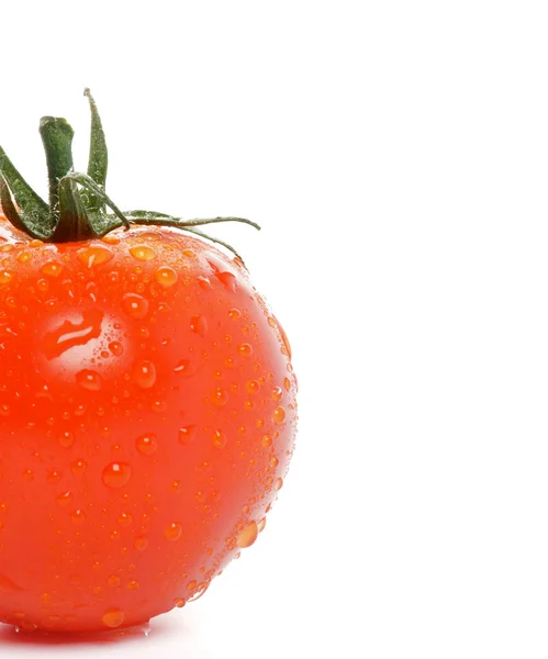 De helft van tomaat rechtstreeks uit de tuin — Stockfoto