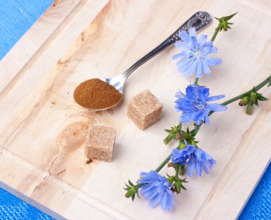 Chicory (flowers and powder) clipart
