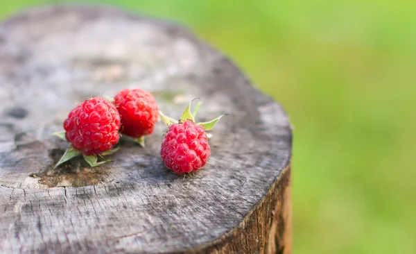 Stock image Three berries raspberries