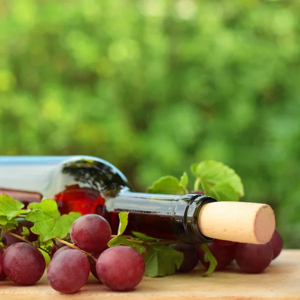 Красное вино и виноград на зеленом фоне лета — стоковое фото