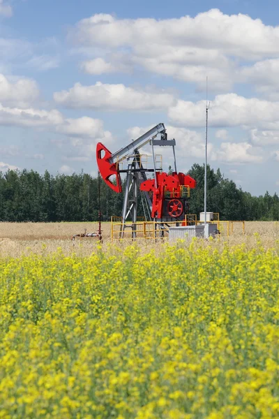 Pumpjack - oljeproduktionen, oljefält pump jack — Stockfoto