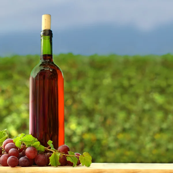 Grape and red wine bottle — Stock Photo, Image