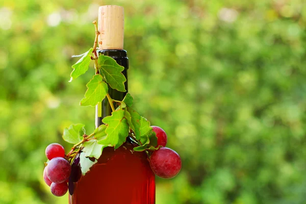 Бутылка красного вина крупным планом — стоковое фото