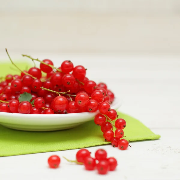 Berry - röda vinbär, ekologisk mat på bakgrund — Stockfoto