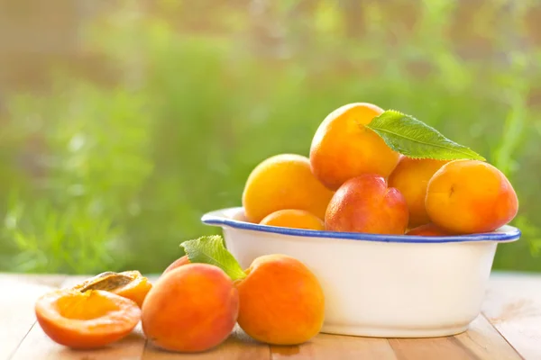 Свежий и вкусный абрикос — стоковое фото