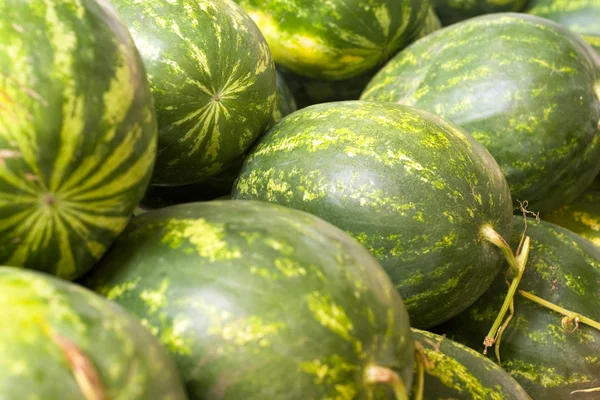 stock image Fresh watermelons