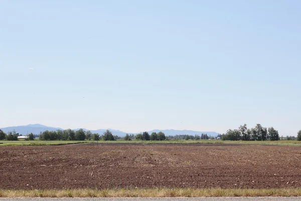 Zemědělské pozemky v venkově státu washington — Stock fotografie