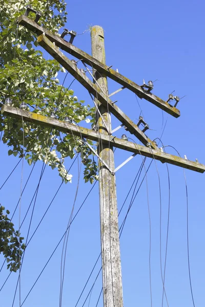 Sluiten op neergehaalde en beschadigde hydro elektrische en telefoonlijnen — Stockfoto