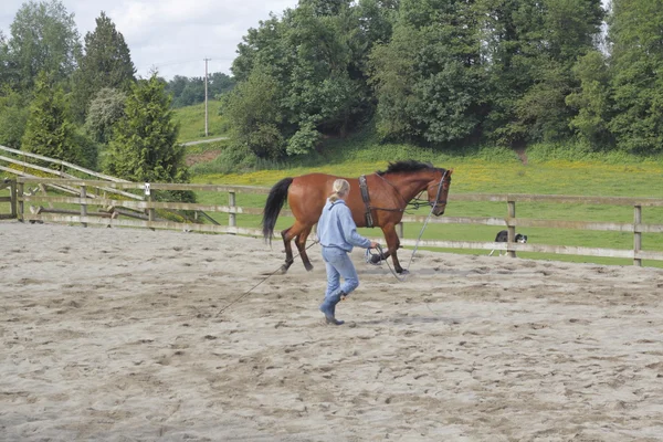 Een vrouwelijke trainer en haar bruine mare — Stockfoto